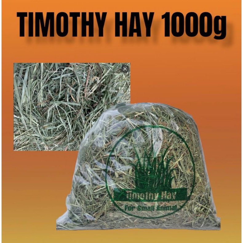 TIMOTHY RUMPUT HAY MAKANAN KELINCI