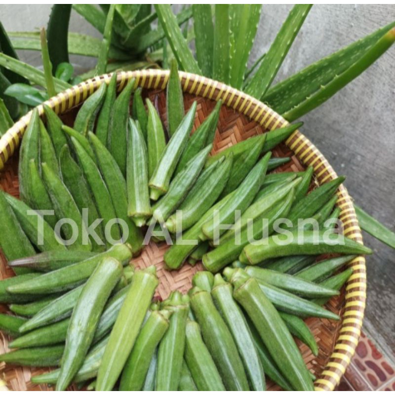 

Okra hijau 1kg
