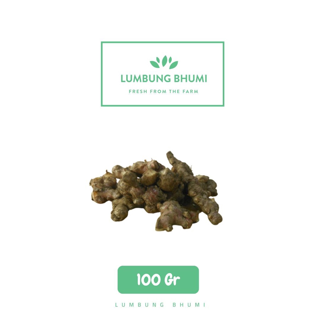 

Lumbung Bhumi - Jahe Merah 100 Gr ( Sayur Curah )