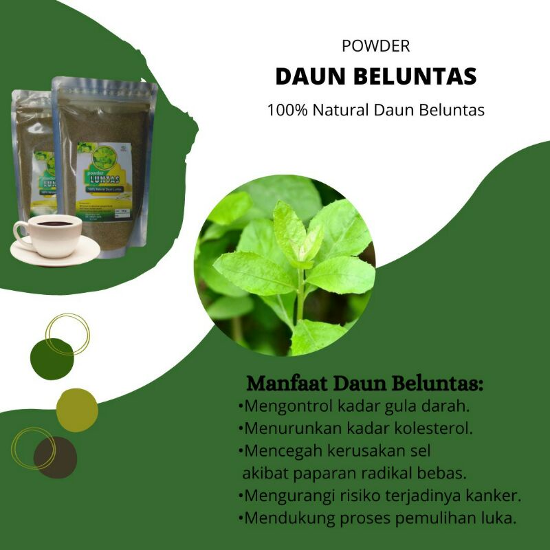 Luntas / Beluntas / bubuk luntas 150gr