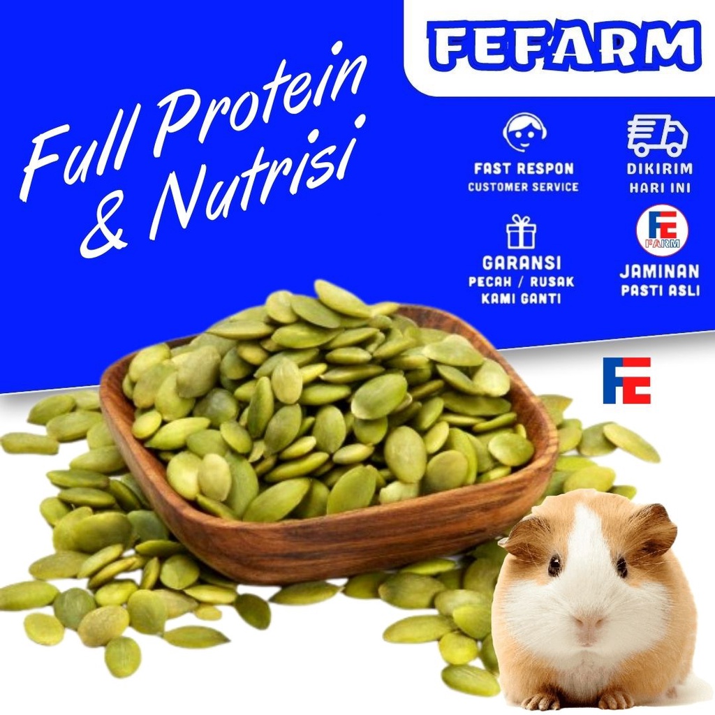 Pumpkin seed | healthy snack hamster | makanan hamster | diet 10gr FEFARM