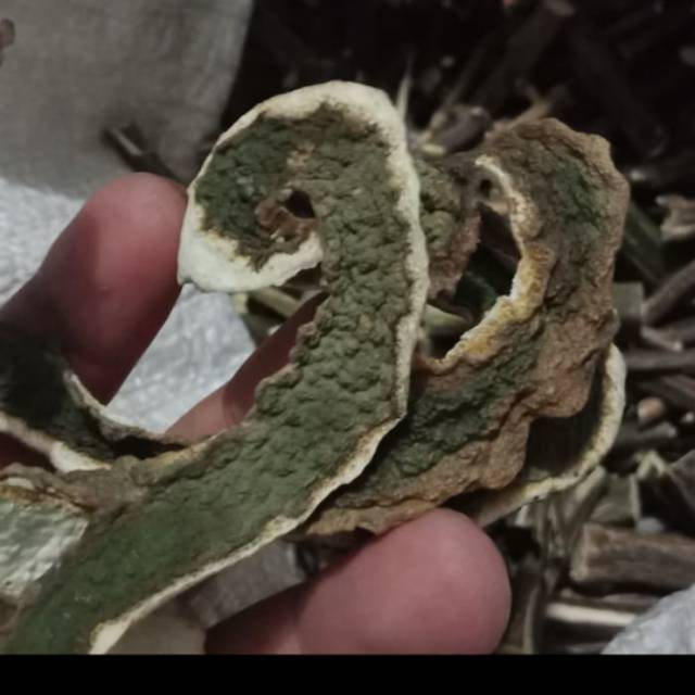 

Bubuk Daun Jeruk Purut 1kg 100%murni