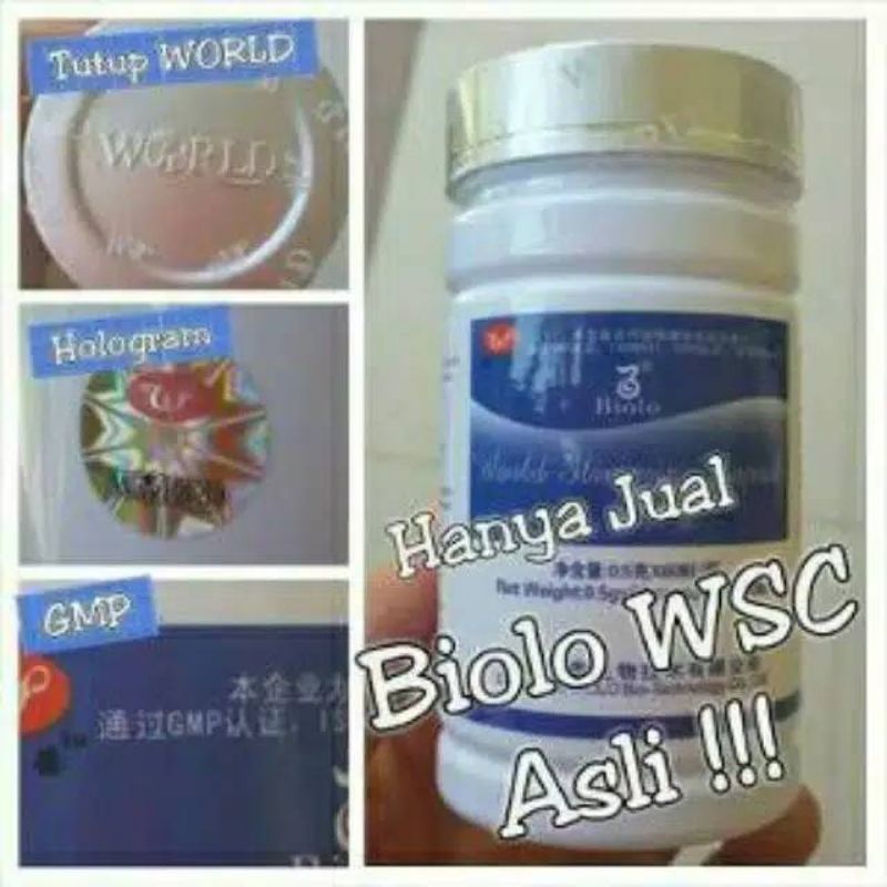 PELANGSING BIOLO, WSC BIOLO ORIGINAL