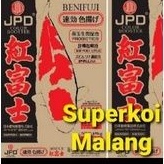 Benifuji JPD Color 1kg 1 KG Warna Beni Fuji Pakan Ikan Koi Import Grow