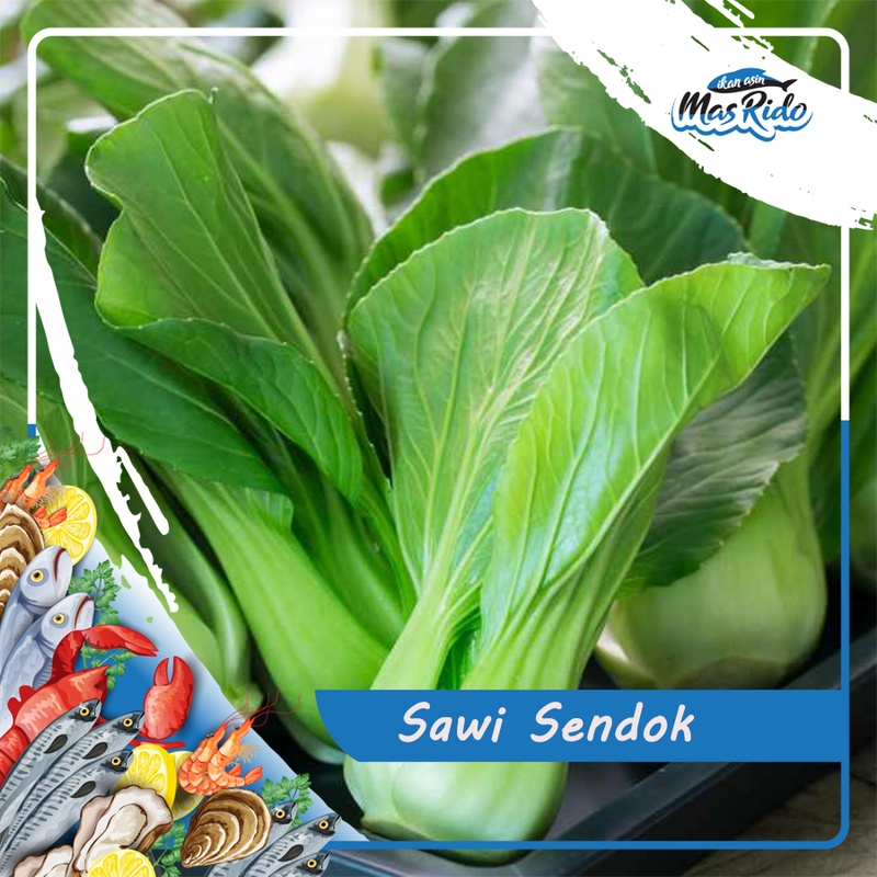 

Pakcoy Sayuran Segar