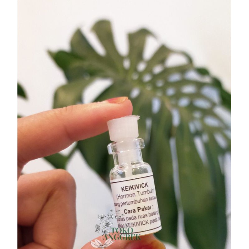 ORIGINAL KEIKIVICK HORMON AJAIB MENUMBUH TUNAS / BUNGA ANGGREK