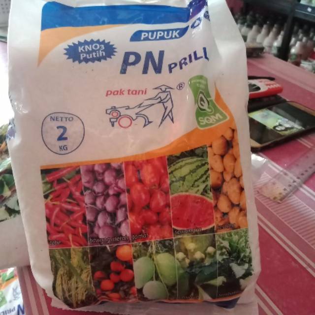 Pupuk KNO3 Putih 2kg