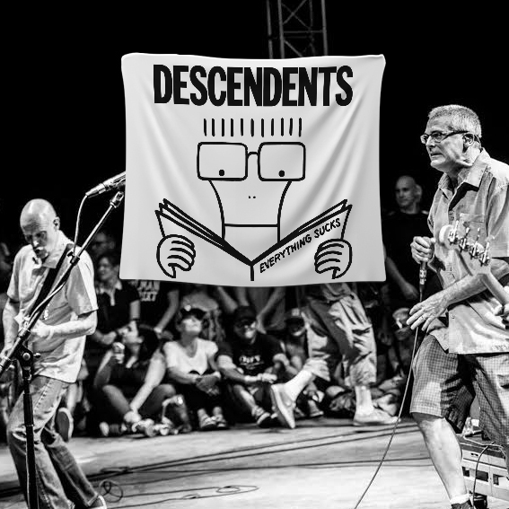 BENDERA AMERICAN PUNK ROCK BAND DESCENDENTS POSTER KAIN