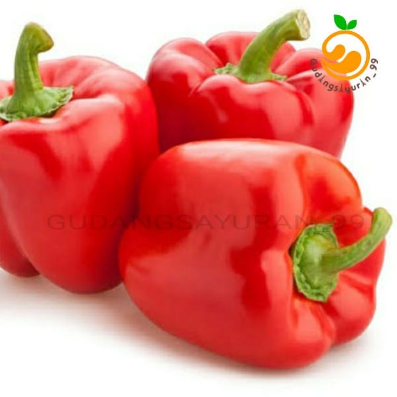 

Paprika Merah 250 gram