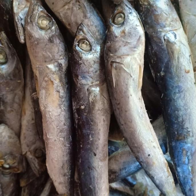 

[COD] tongkol rebusan per 500gr [COD]