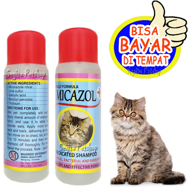 SAMPO KUCING ANTI JAMUR KORENG SHAMPO ANAK KUCING KECIL SCABIES MICAZOL