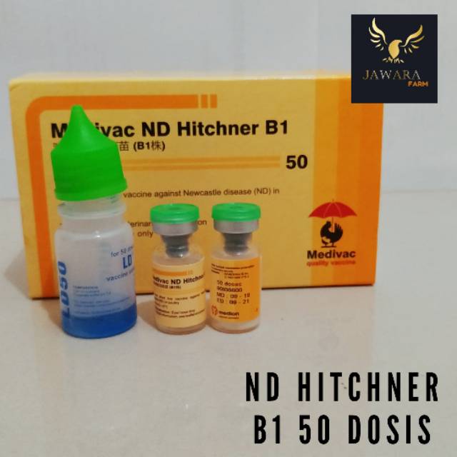 Vaksin Tetelo / Vaksin Medivac ND B1 MLS 50 Ekor