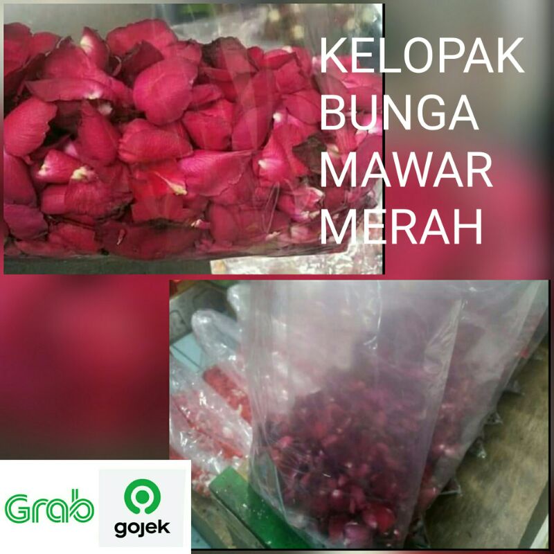 kelopak bunga mawar merah asli fresh red rose petals original