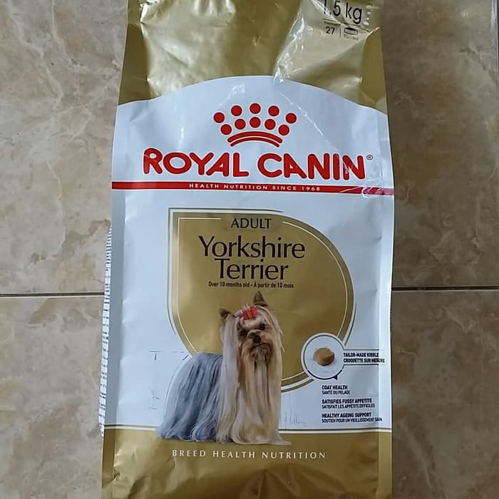 canin yorkshire terrier