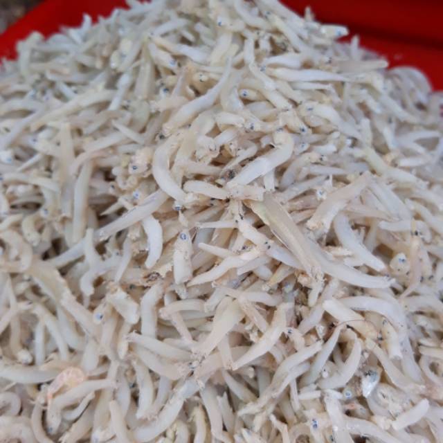 

Teri medan 500 gram