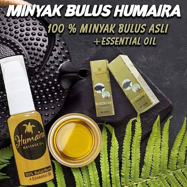 [37 gr] Herbal Jember Minyak Bulus Humaira