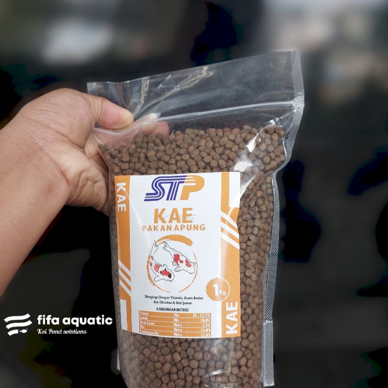Pakan KAE 1 kg protein tinggi membuat Koi bulky