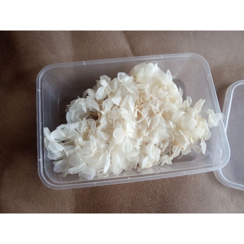 preserved hydrangea 10 gram, 10 gram preverved hydrangea, hydrangea