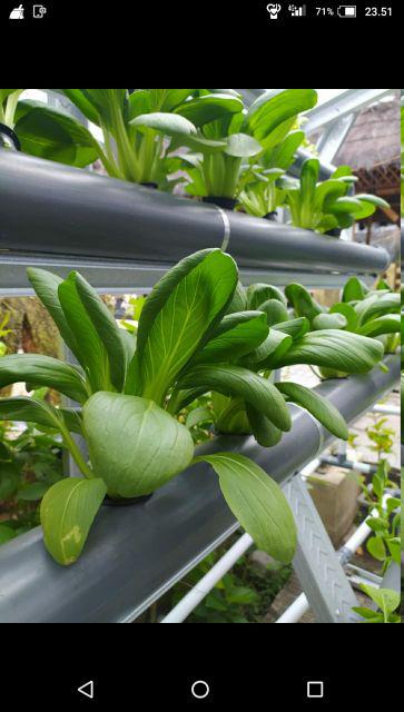 Kemeja Hem Baju Batik Pekalongan Murah Keren