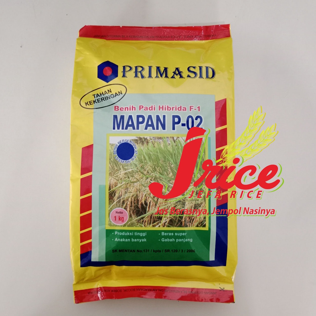 BENIH PADI HIBRIDA MAPAN 02 BIBIT PADI MAPAN P 02