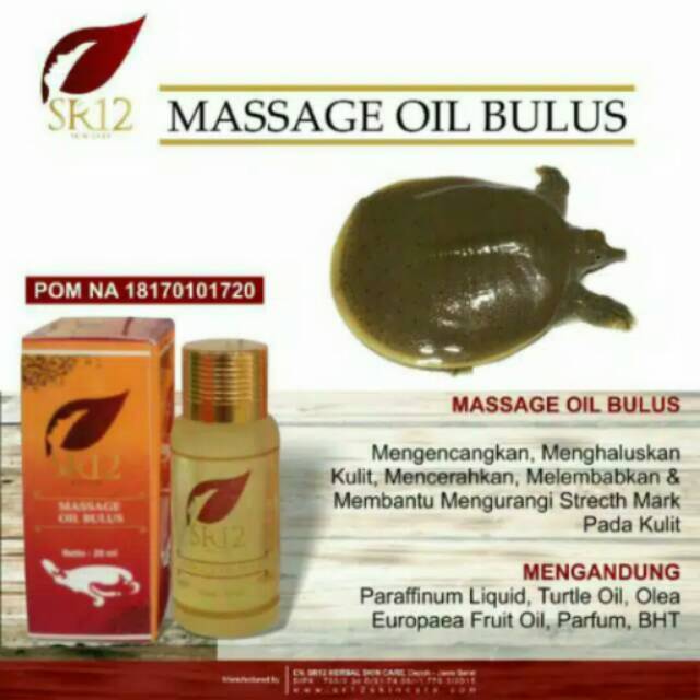 Massage Oil Bulus / minyak bulus / minyak bulus bpom