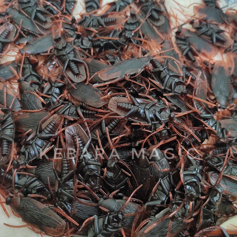 Mainan Bentuk Kecoak - Prank Kecoak - Kecoak Palsu - Mainan Anak - Grosir Mainan - Toko Sulap
