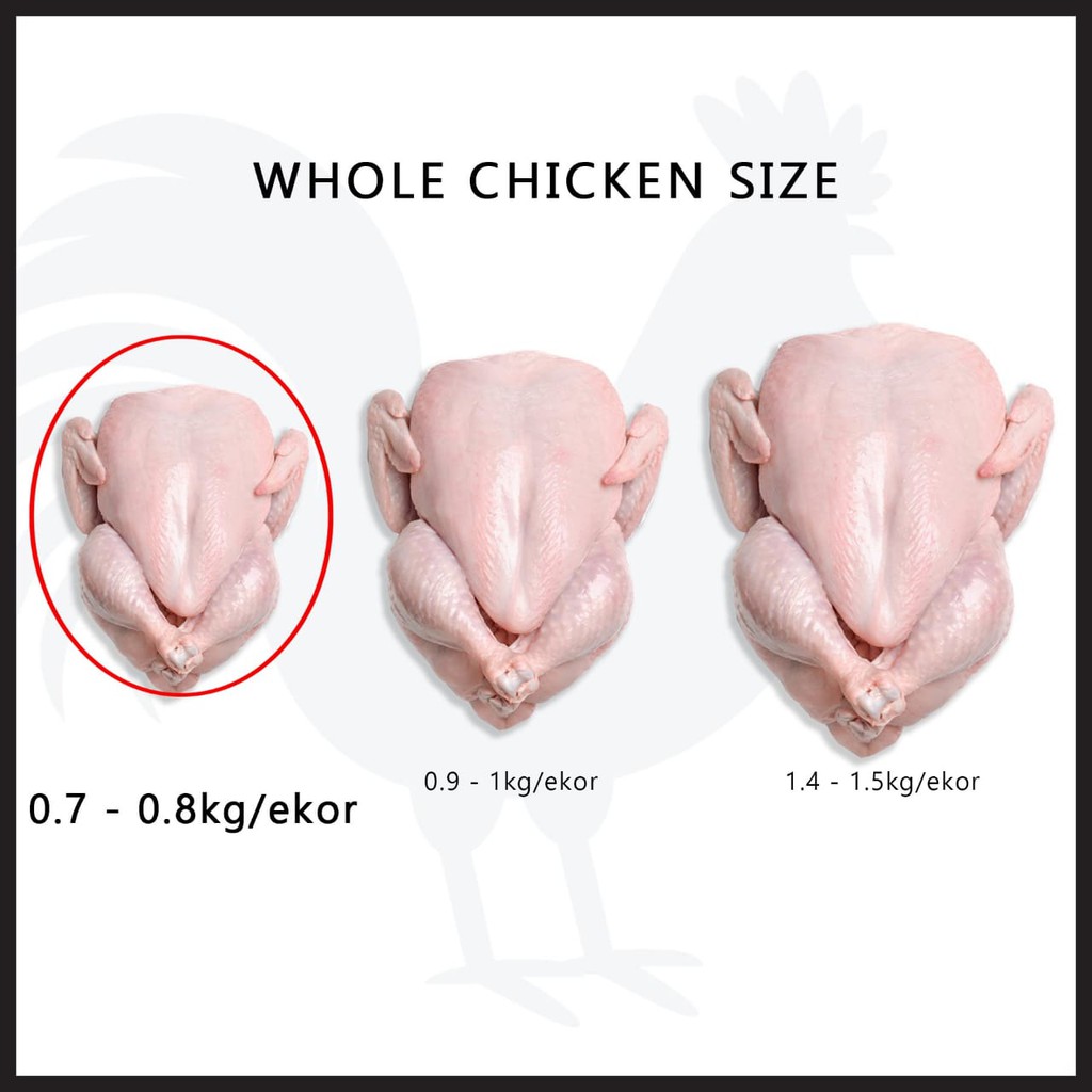 

ayam karkas / PKK (ayam broiler) 0.7 - 0.8 kg frozen
