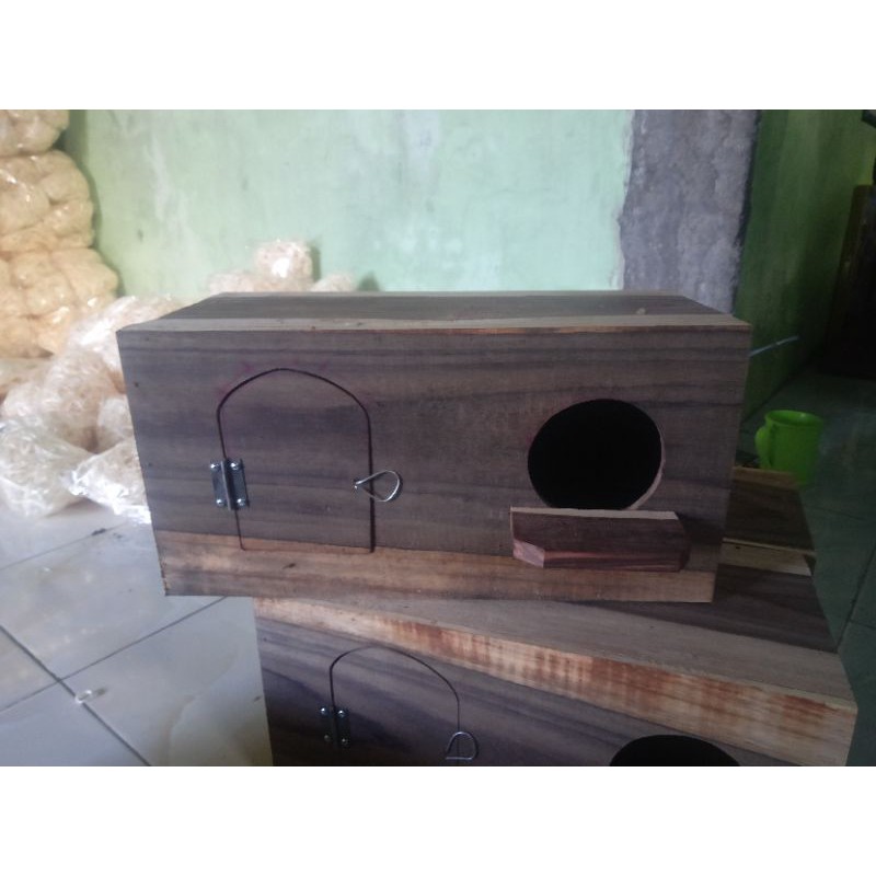 Glodok Burung Falk / Glodok Murai, Jalak Kayu Sono Keling