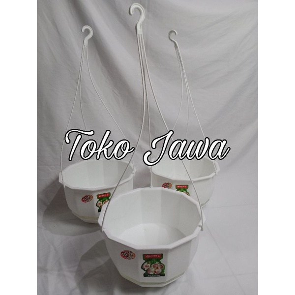 Pot Gantung lion star Gardenia Flower | Pot Gantung / Pot Bunga Tanaman WR Putih