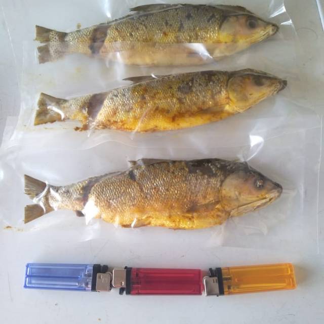 

Bandeng presto duri lunak,, 3pc