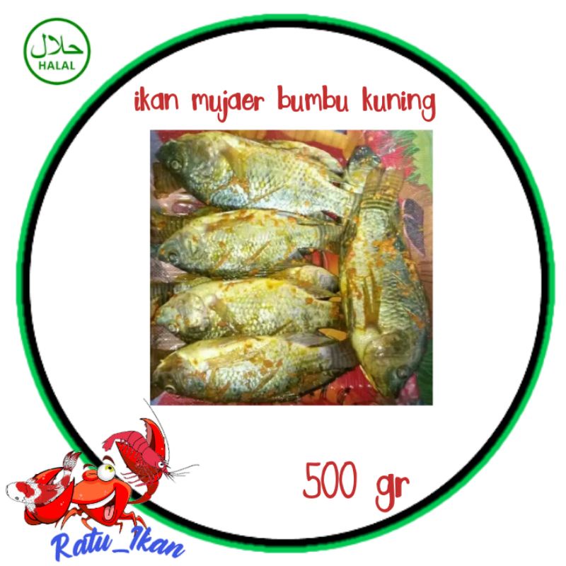 

ikan mujaer bumbu kuning [500gram] ratu ikan