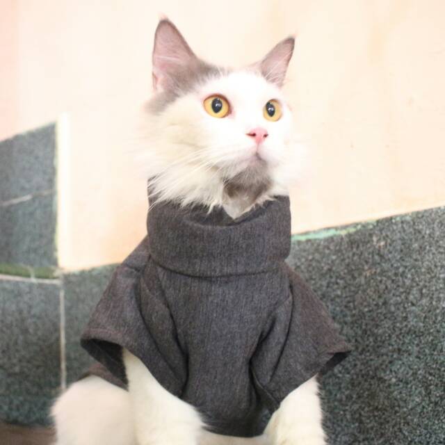 Kaos ala korea turtleneck untuk kucing dan anjing /Jual Baju Kucing Murah Terlengkap Size S-XL