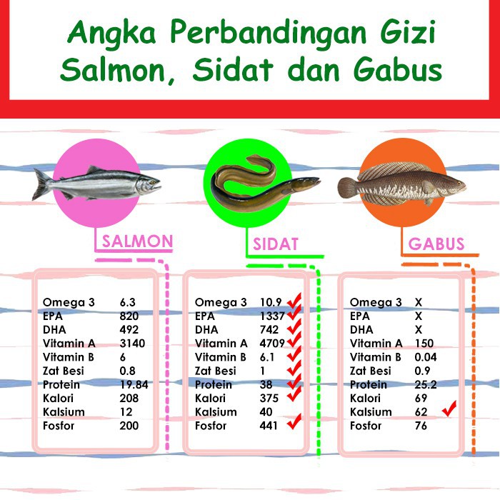 Vitamin Anak Delay-Vitamin Anak dan Bayi-Vitamin Anak Children-Nutridat Madu Ikan Sidat Original