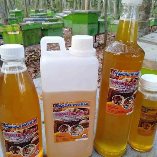 

Madu Randu&Madu Rambutan