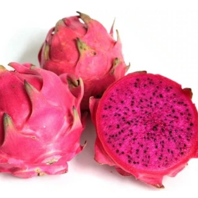 

Buah naga