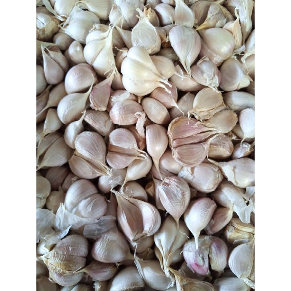 

Bawang putih kating 500gr