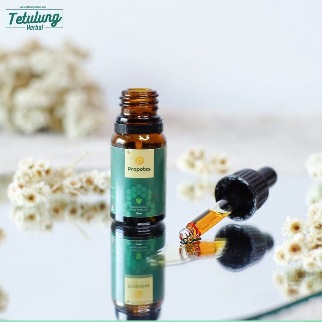 Obat Herbal Sakit Pinggang Belakang, Tulang Lutut, Syaraf Kejepit, Pengapuran Nyeri Tulang Sendi, Encok Sudah BPOM - Propolis PROPOTES 10ml