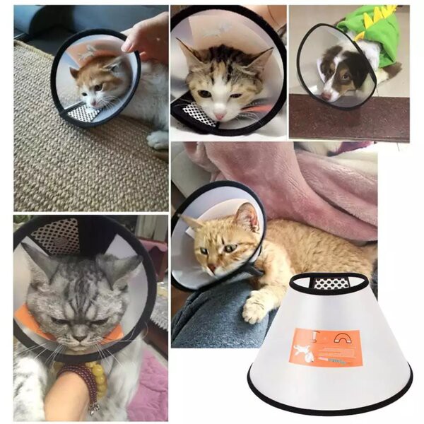 Pet Protection Cover Collar Cone 6 Corong Pelindung Luka Kucing Anjing