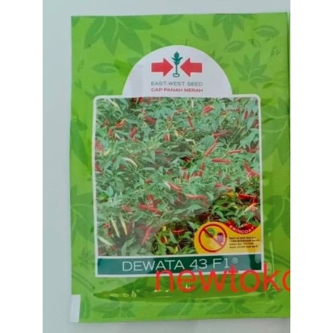 CC55 Benih cabe rawit DEWATA 43 F1 2250 butir cabai rawit putih dewata 43 f1 hibrida **