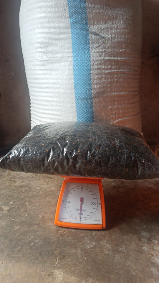 El Gros 2 - Cp Rinjani Batik Silk Kombi Tile Lapis Furing Ld100cm Pjg 134cm + Kemeja Batik Silk