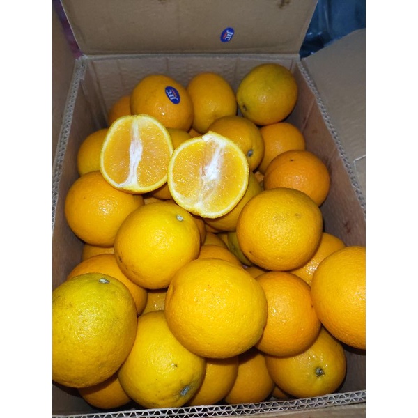

sunkist valencia egypt