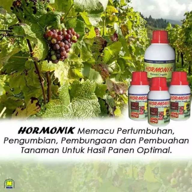 [COD BAYAR DI TEMPAT]Booster Pertumbuhan Bunga, Buah, Batang HORMONIK NASA Kemasan 100 cc