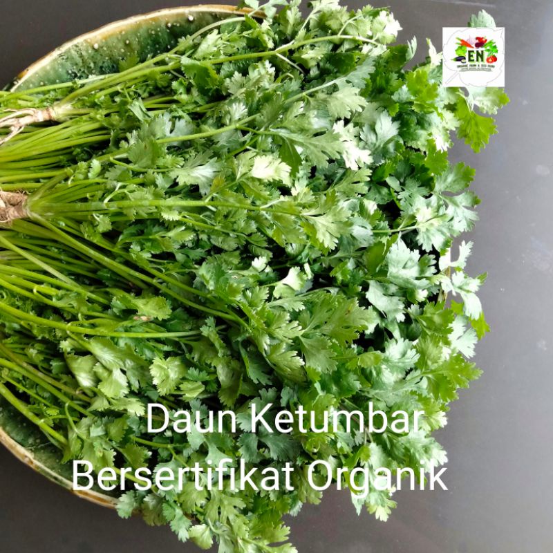 

Sayur Organik Daun Ketumbar 100% Bersertifikat Organik VegetableMurah Sehat Healthy Life Grosir Supermarket