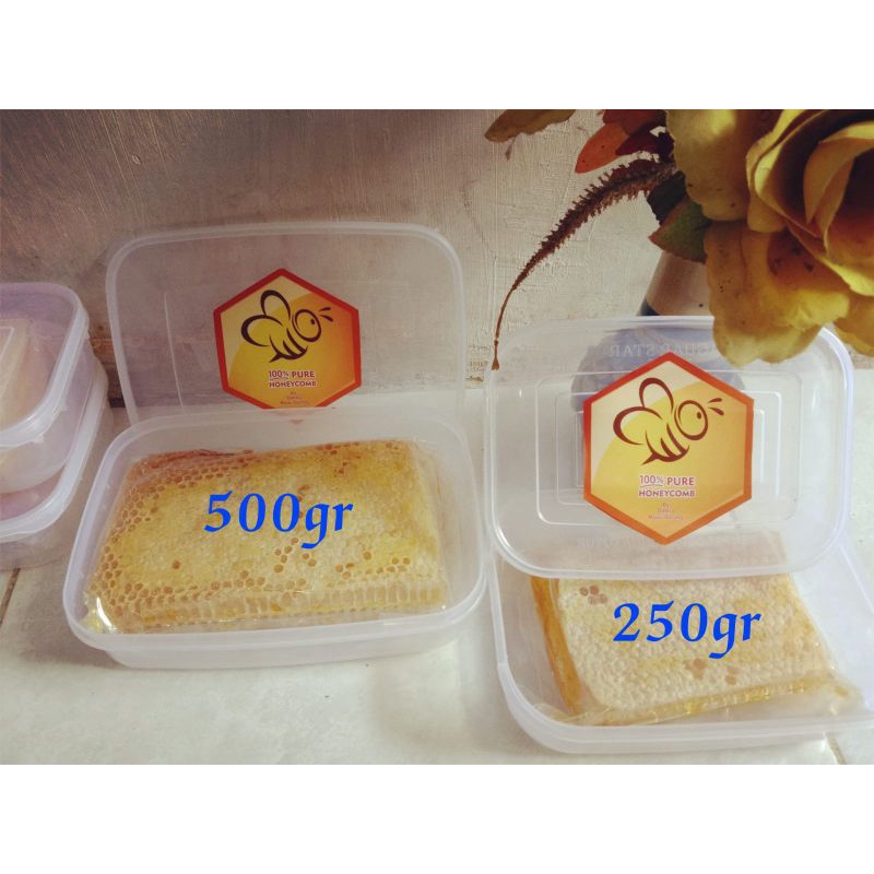 

sarang madu atau honeycomb