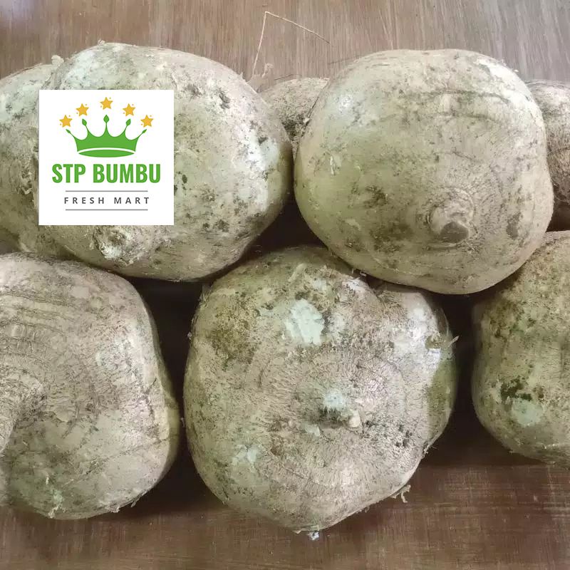 Buah Bengkoang Segar Fresh / Bengkuang 1kg