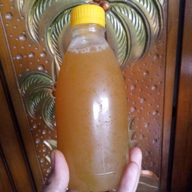 

Sinom Segar 500ml