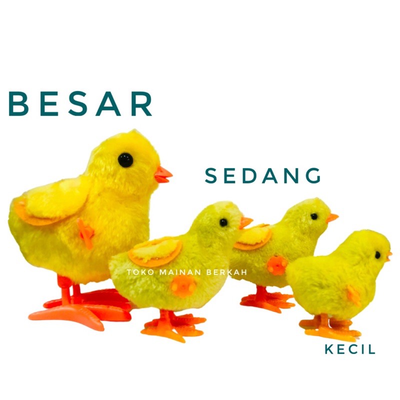 MAINAN EDUKASI ANAK AYAM JAGO | MAINAN ANAK AYAM AYAMAN