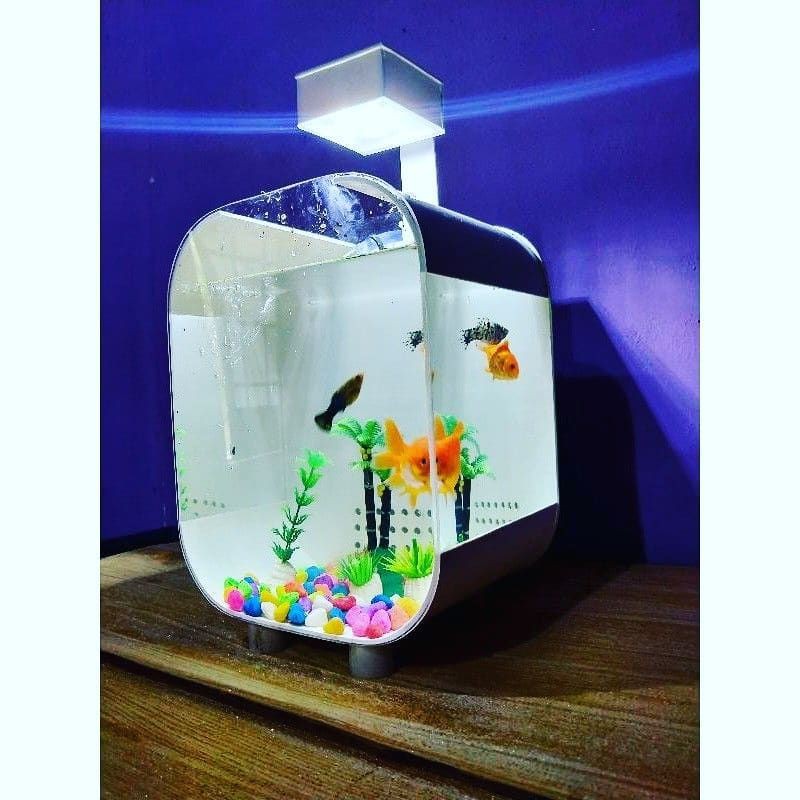 Aquarium ikan Hias Cupang 1 paket Box Filter + lampu akuarium 25x15x20