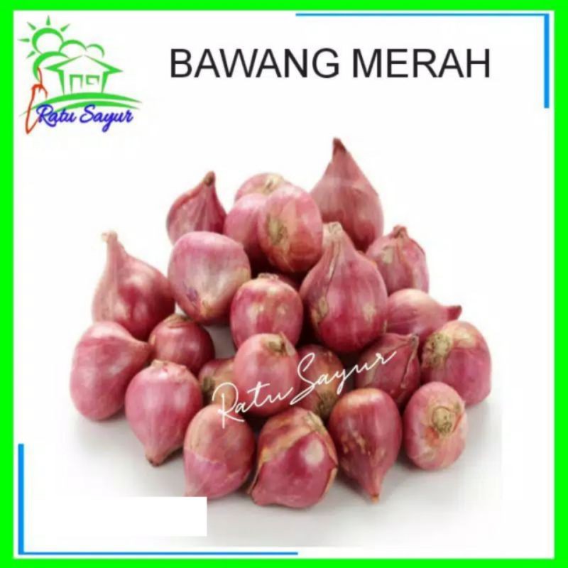

BAWANG MERAH/Ratu Sayur Cikeas [100,250-500gram]