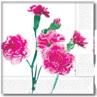 NAPKIN Decoupage - TISSUE Decoupage 10